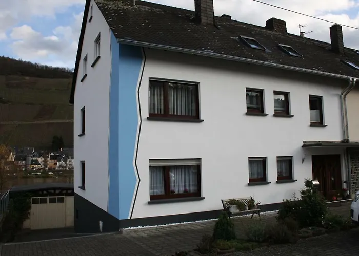 公寓 Cella 摩泽尔河畔的泽尔